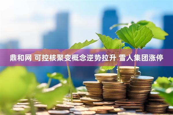 鼎和网 可控核聚变概念逆势拉升 雪人集团涨停