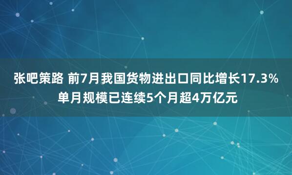 张吧策路 前7月我国货物进出口同比增长17.3% 单月规模已连续5个月超4万亿元